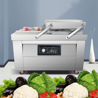 220V/50HZ DZ-400/SA Σπίτι διπλής αίθουσας Μηχανή συσκευασίας τροφίμων με κενό για κρέας ρύζι ψάρι